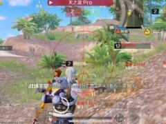 盘点和平精英中的那些奇葩外挂（和平精英中最奇葩的外挂）